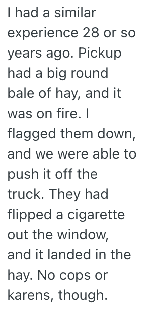 Screenshot 2025 06 10 at 6.41.46 PM Rude Woman Was Upset That Traffic Was Stopped Due To A Fire, But She Took Out Her Anger On Someone Who Had No Power